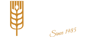 Dr GF
